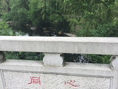 -白马涧龙池景区