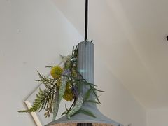 -春树下·树屋花房西餐厅(罍街AS1980店)