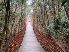 -上海吴淞炮台湾国家湿地公园