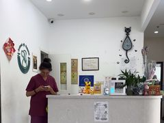 -中农国际动物医院24小时·猫科·骨科·急重症中心