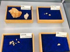 -天津古林古海岸遗迹博物馆