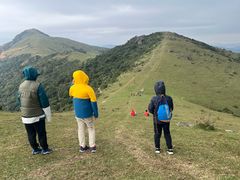 -大姆山草场