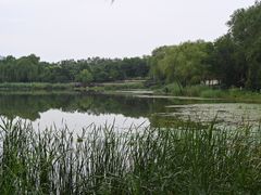 -北坞公园