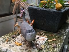-风车面包