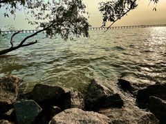 -宝安西湾红树林湿地公园