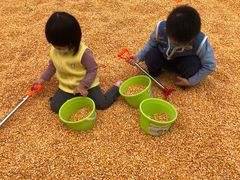 -麻涌飞鸭开心农场