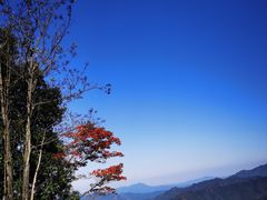 -江西阳明山国家森林公园