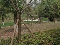 -沐仙湖湿地公园