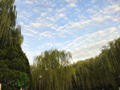 -元大都城垣遗址公园