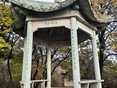 -北京鹫峰国家森林公园