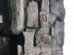 -周口店北京人遗址公园
