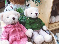 -济州岛泰迪熊博物馆