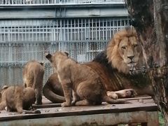 -昆明动物园