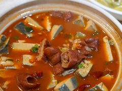 肥肠臭豆腐煲-新天厨酒家(二分店)