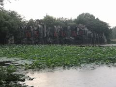 -微山湖红荷湿地景区