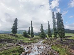 -新疆那拉提国家旅游度假区