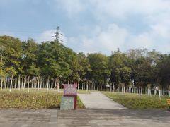 -重庆彩云湖湿地公园
