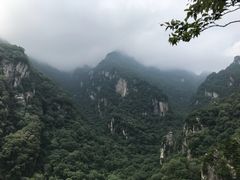 -牛背梁国家森林公园