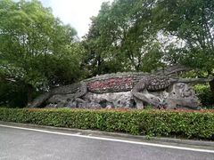-中国扬子鳄村