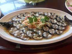 -呼吸森林·生态农庄农家乐私房菜