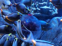 -成都浩海立方海洋公园