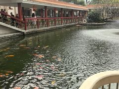 -番禺宾馆丽苑厅