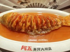 -阿五黄河大鲤鱼(海尚店)