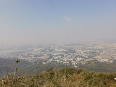 -紫金山山顶公园
