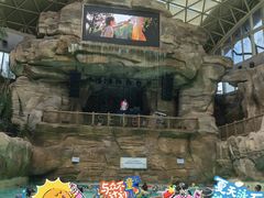 -杭州开元森泊度假乐园