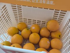 -来噻布布 Lets BUBU