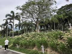 -深圳万象城