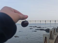 -黑石礁公园