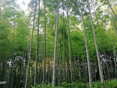 -杭州黄龙洞