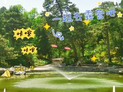 -香山公园