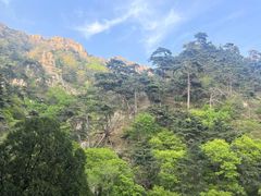 -泰山风景名胜区