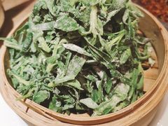 面条菜-渔家灯火(领秀城店)