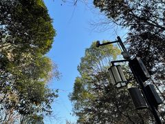 -岳麓山风景名胜区