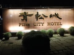 -上海青松城大酒店