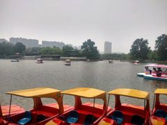 -二一九公园