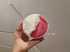 -DIP in GELATO(富民路店)