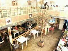 android_upload_pic-Cafe Alice咖啡爱丽丝(奥城店)