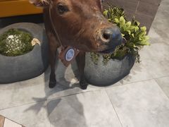 -掂档潮汕牛肉火锅(cityon熙地港店)