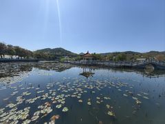 -红山村