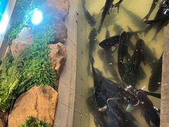 -春盛渔府(牛首山店)