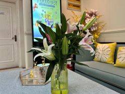 -静博士·养生养颜