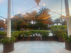 -源·咖啡自助餐厅·海鲜·烧烤·三文鱼(海口华彩洲际酒店)