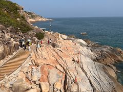 -广东惠东海龟国家级自然保护区