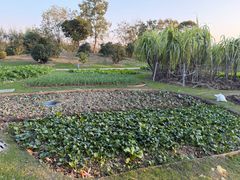 -上海浦江郊野公园-5号停车场