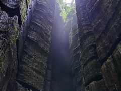 -梦幻奥陶纪景区