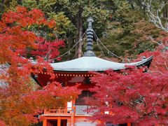 -醍醐寺